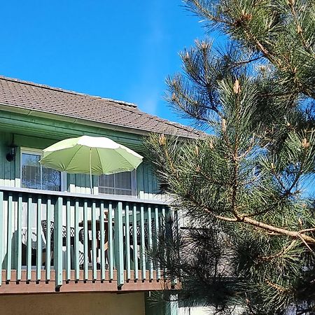 Ferienwohnung Strandwurzel Цемпин Экстерьер фото
